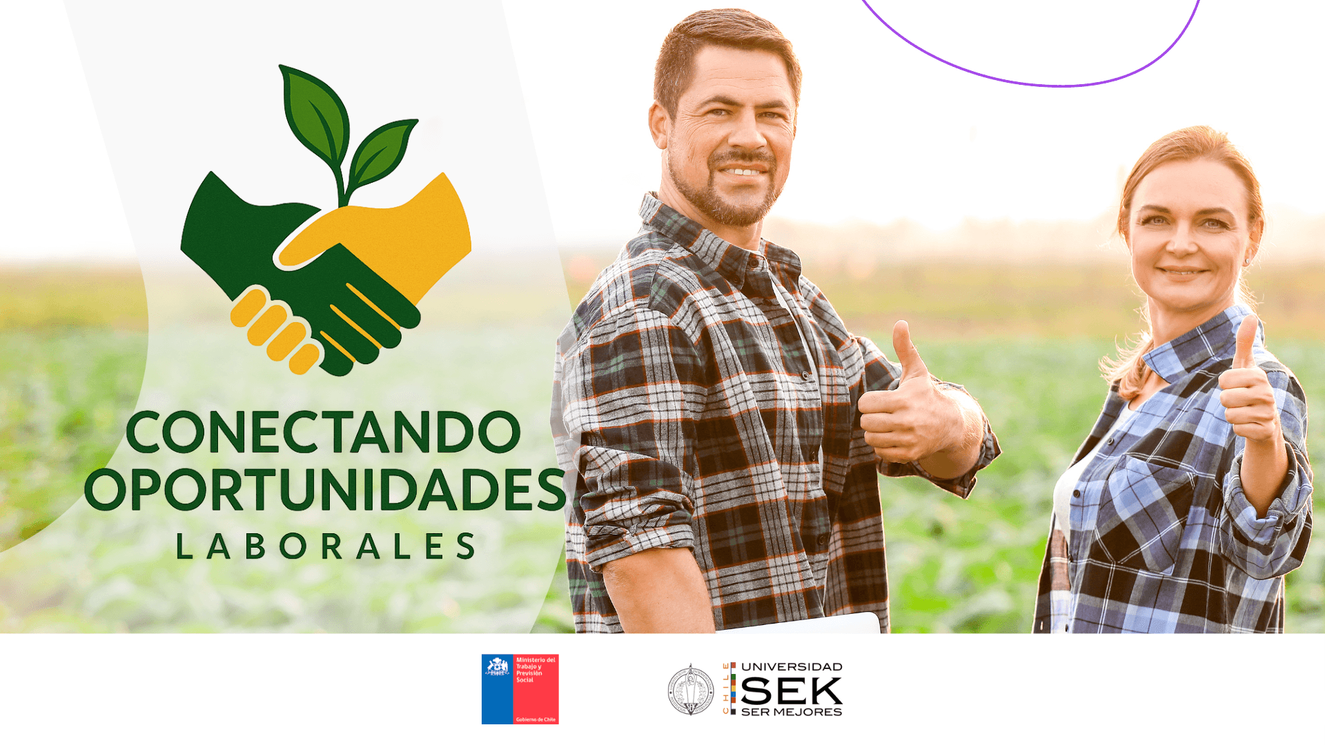 dirección de formación continua potencia en ohiggin´s Programa Servicios Sociales 2025