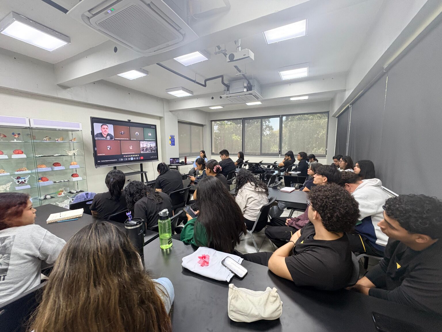 Usek Classes VcM al Día: Jefe de Carrera de Kinesiología USEK dicta webinar ...